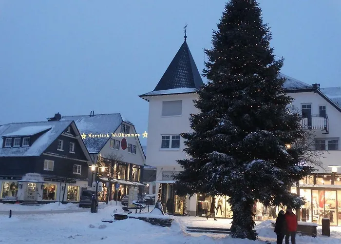 Winterbergappartementen 27-10 Appartement *